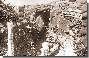 IN FLANDERS FIELDS.
